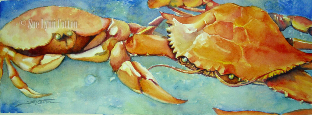 Crabby Encounter